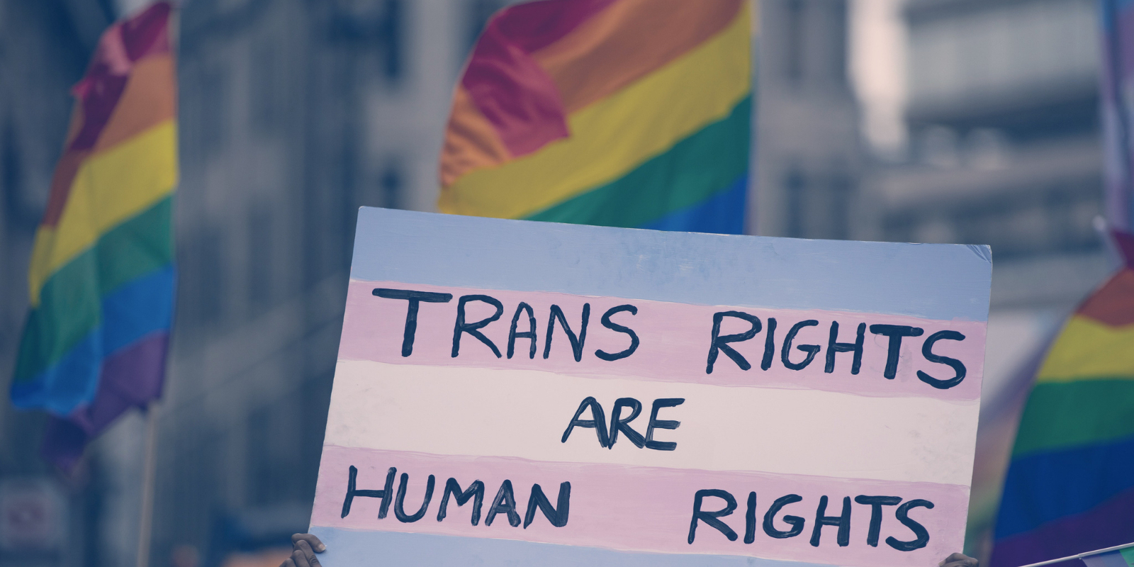 A photo of a person holing a sign that says trans rights are human rights. The sign is the transgender flag. In the background are three rainbow pride flags.