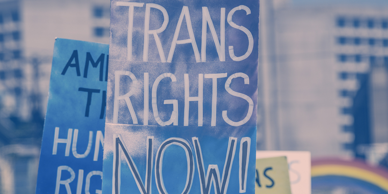 A photo of a sign that reads "Trans Rights Now!"